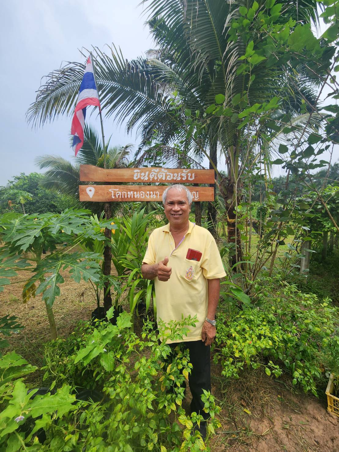 ศูนย์เรียนรู้โคก หนอง นา แปลงของนายสำราญ สมใหญ่ หมู่ที่ 6 ตำบลมะรุ่ย อำเภอทับปุด จังหวัดพังงา