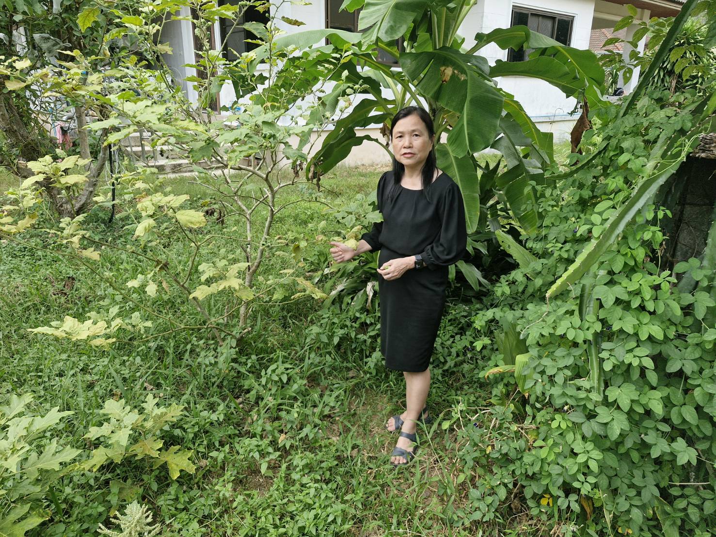 พช.ทับปุด ปฏิบัติการ Quick Win 90 วัน สร้างความมั่นคงทางอาหาร สู้ภัยวิกฤติด้วยวิถีพอเพียง 